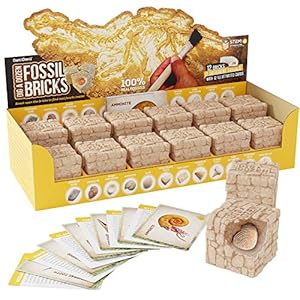 Dig a Dozen Fossil Bricks – Break Open 12 Bricks and Discover 12 Unique Real Fossils – Archaeology Science STEM Easter Gift