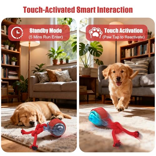 Image of Interactive Dog Toys, Smart Automatic Moving Dog Ball with Rope, Rechargeable Motion Activated Rolling Dog Toy for Small Large Dogs Aggressive chewers to Keep Them Busy