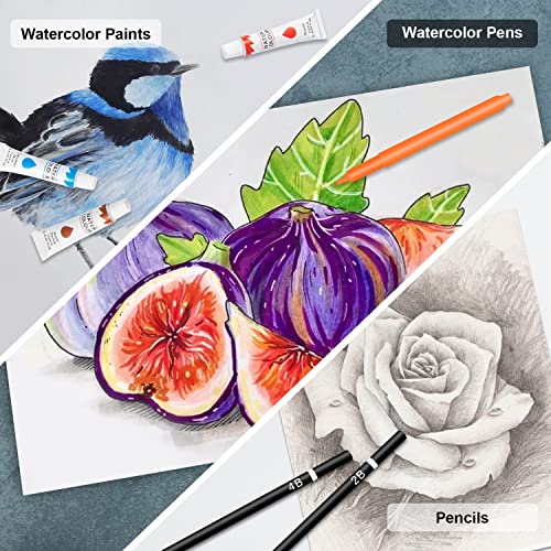 Art Supplies, 185 Piece Deluxe Wooden Art Set Professional Art Kits with 2 Sketch Books, Crayons, Oil Pastels, Colored… - Image 6