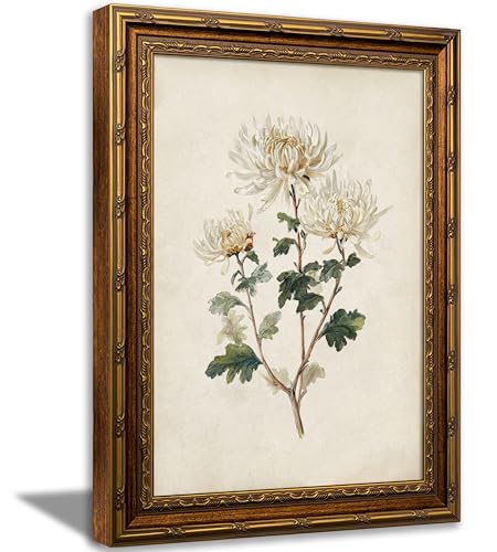 Vintage Gold Framed Novembe Birth Flower Wall Art Vintage Chrysanthemum Flower Canvas Print White Picture Wall Decor Chrysanthemum Botanical Poster Artwork for Living Room Bedroom Birthday Gift 9x11in