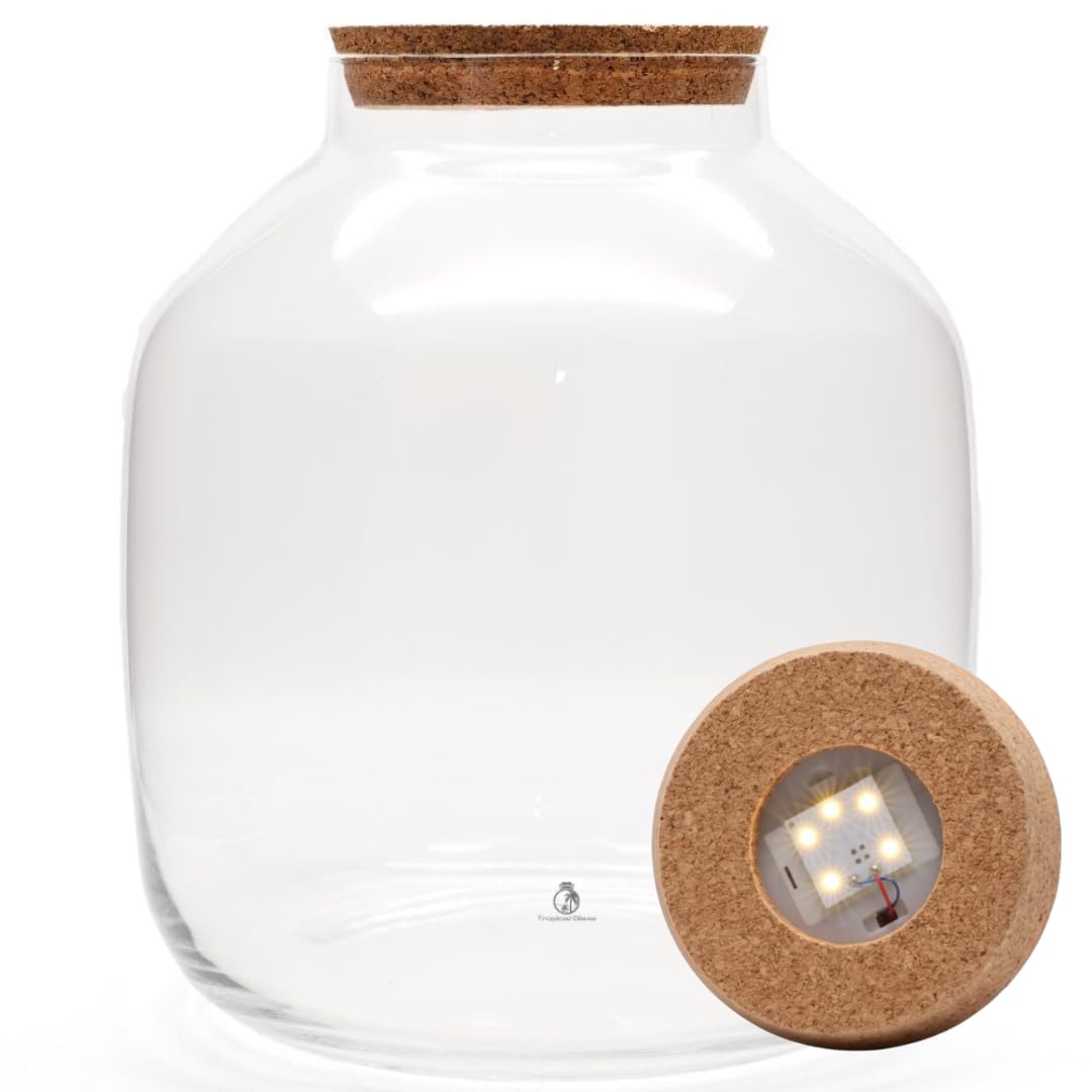 Extra Large Terrarium Glass Jar with Cork Lid, H: 38cm - Closed Terrarium Container for Indoor Garden, Big Glass Jars for Plants, Terrarium Glass (with LED Cork Lid, Glass Only)