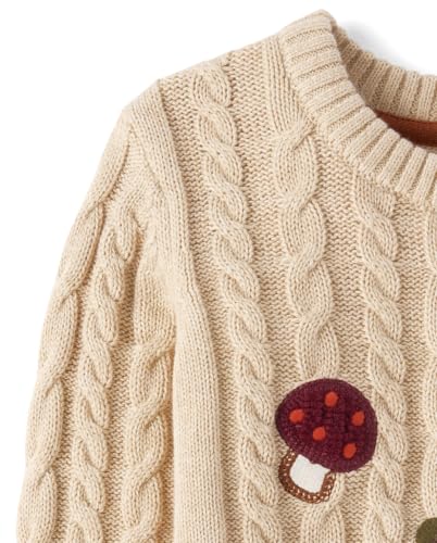 Image of Gymboree Boys' and Toddler Long Sleeve Embroidered Crew Neck Pullover Sweater