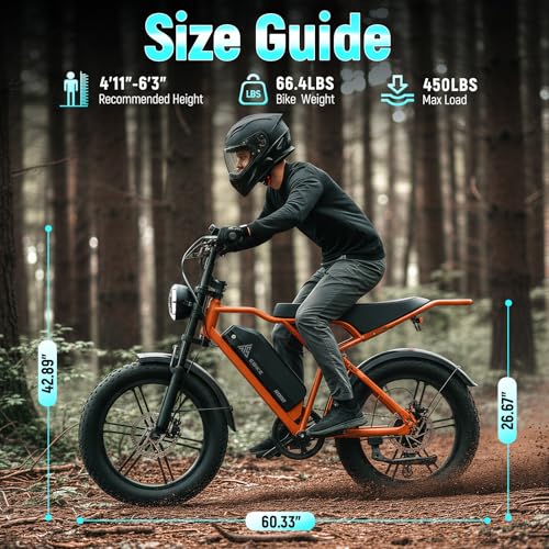 Image of TST Electric Bike for Adults, 1500W Peak Motor, 28 MPH, 20 inch x 4.0 inch Fat Tire E-Bike, 48V 15Ah Removable Battery, Dual Hydraulic Disc Brakes, Dual Suspension, LCD & APP Control, Ebike with Holder