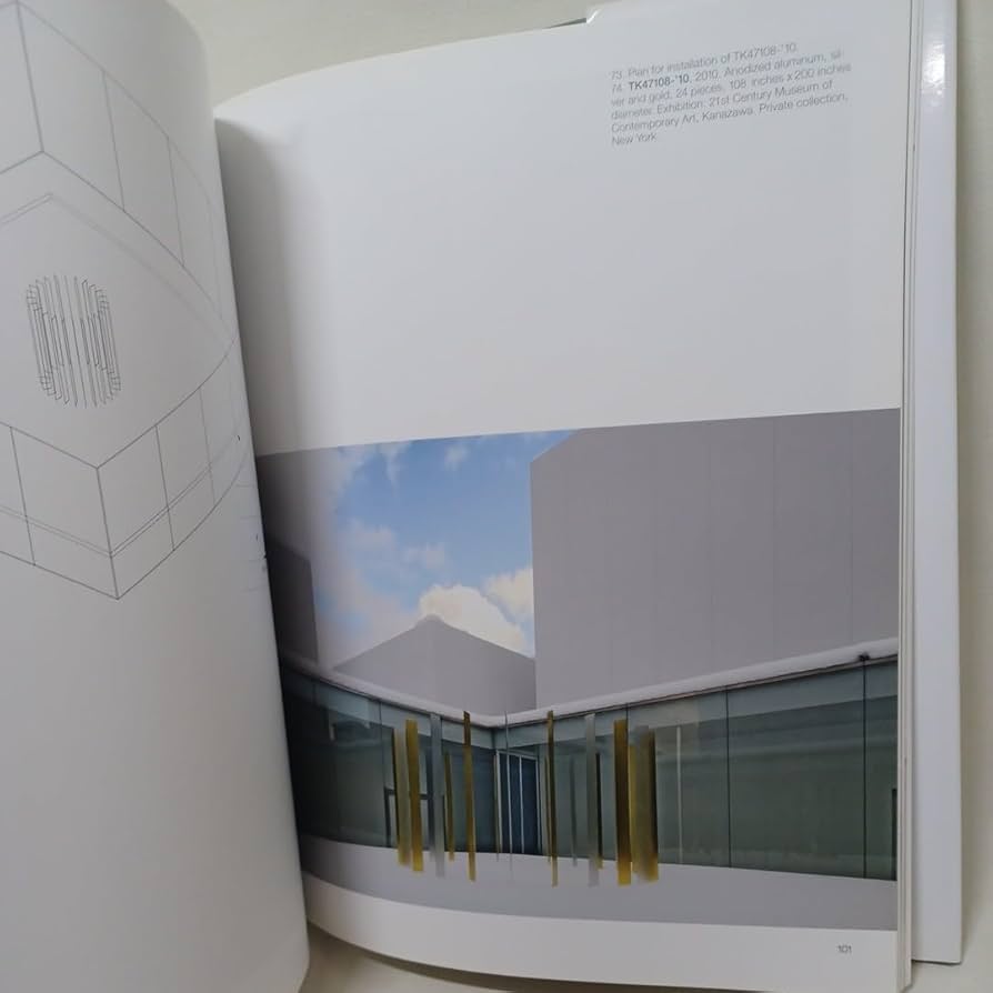 桑山忠明: IN PURSUIT OF LUCIDITY Buy Tadaaki Kuwayama: In Pursuit of Lucidity Book Online at