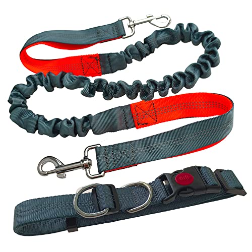 Aiqeer Gris Laisse Chien Mains Libres, Ceinture Réglable et Laisse Élastique Rétractable, Laisse Chien Jogging avec Coutures Réfléchissantes (Poignée Orange)