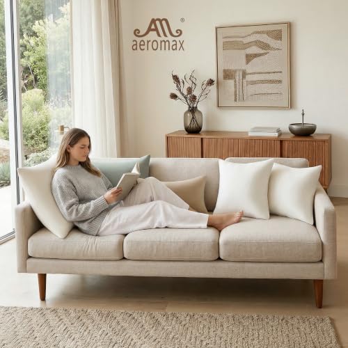Image of AM AEROMAX 18x18 Memory Foam Throw Pillow Inserts, 2 Pack, Square, White