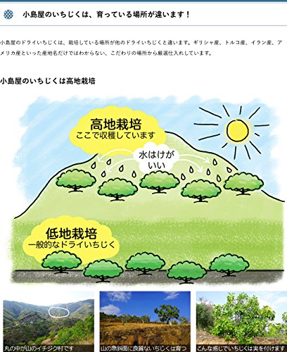 上野アメ横小島屋さんのドライフルーツがすごい ピケピケメモ