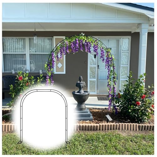 Arche de jardin anti-rouille pour tuteurer rosiers grimpants 19mm noir