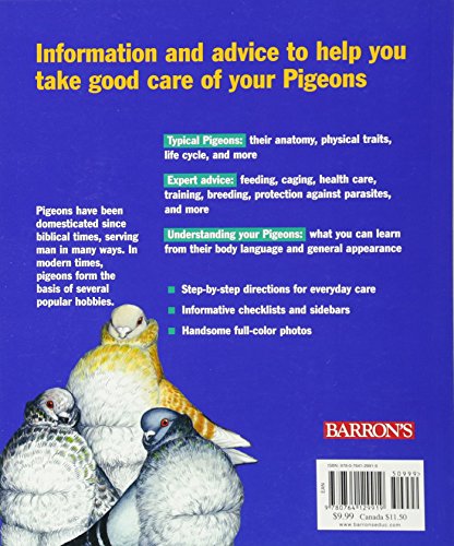 Barron's Pigeons: Everything about Purchase, Care