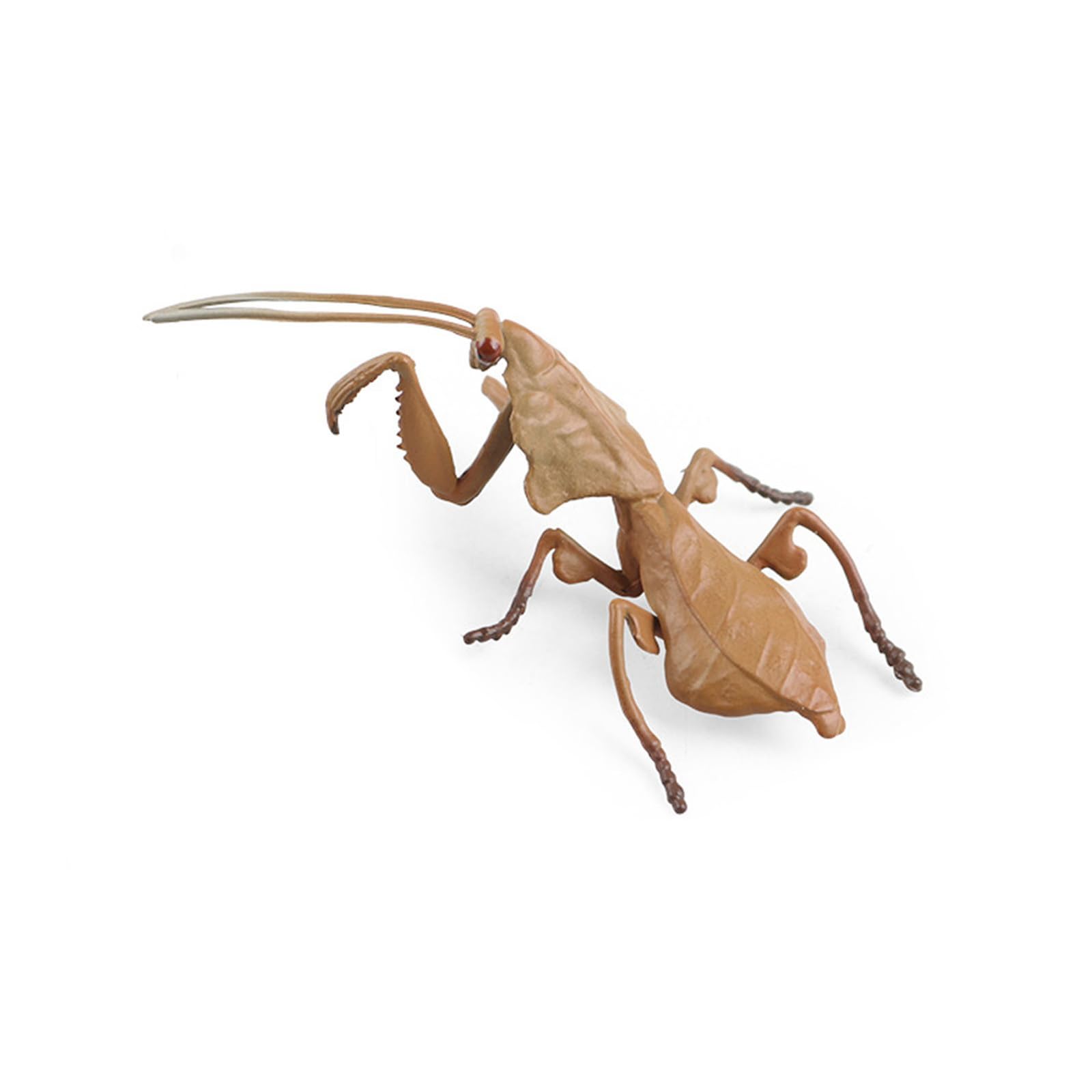 hogtnd Solid Simulation Insect Model Toy Tricky Children Cognitive Gifts Adult Trickster Insect Model