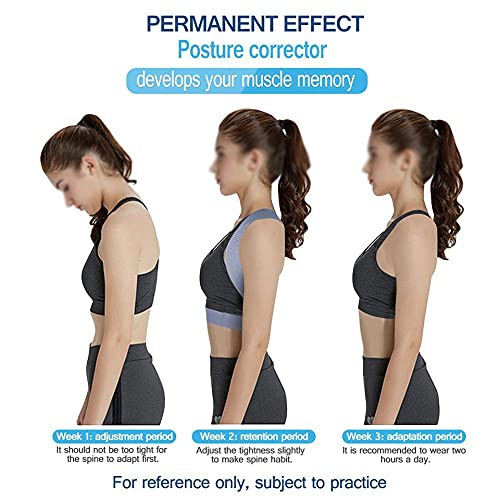 N/A Back Posture Corrector Therapy Corset Spine Support Belt Lumbar Back Posture Correction Bandage For Men Women (Color : Gray, Size : Large) #TOP7