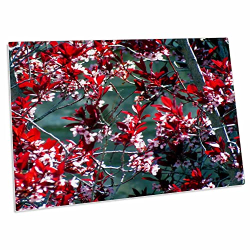3dRose Desk Pad Maroon and Pink Flowers 23x16 pulgadas