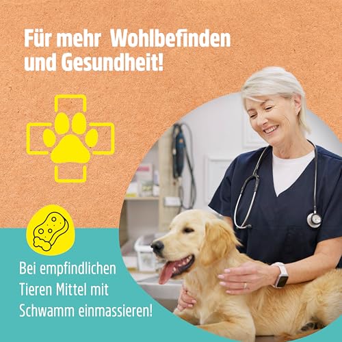 Green Hero Mittel gegen Juckreiz bei Milben 500 ml für Hunde & Katzen | Haustierpflege Spray unterstützt den Regenerationsprozess bei Grasmilben Milben Räude Reizungen Läusen Anti Juckreiz