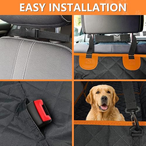 Protection coffre voiture chien idéale pour les sorties en forêt avec MG SUV - 8