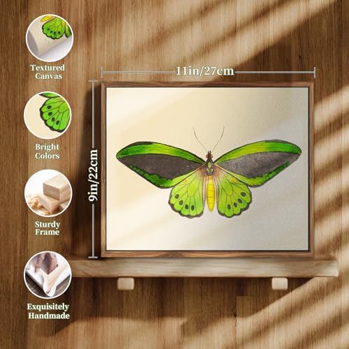 crmotu Vintage Framed Wall Art, Green Butterfly Canvas Art Prints, Nature Moth Rustic Farmhouse Kitchen Wall Decor, Country Cottage Wall Paintings for Bedroom Bathroom, Office Desktop Decor,9x11inch