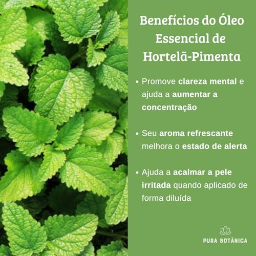Kit com 3 Óleos Essenciais de Hortelã-Pimenta 100% Puro e Natural, Ideal para Aromaterapia, Difusor,