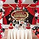 YUEcthynous Casino Poker Party Decoration Honeycomb Ornament,Geburtstag Party Dekorationen Poker Wabe Casino,Casino Partydekorationen für Geburtstag Partyzubehör