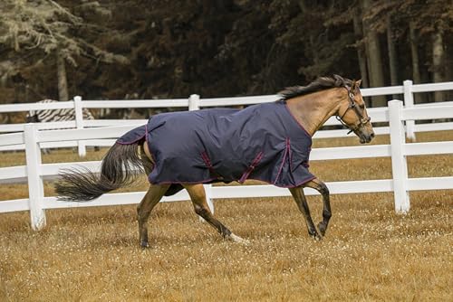 Image of TuffRider 1200 D Comfy Winter Ripstop Turnout Blanket Medium Weight 200 GSM Standard Neck - Navy - 75