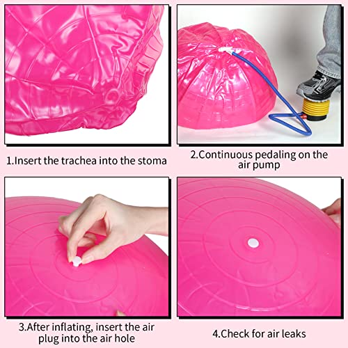 Jerify 10 Pcs Pilate Ball Exercise Ball Bulk Yoga Ball For Fitness Pregnancy Birthing, Core Ball Chair Workout Equipment With Pump And Plug For Office Home Gym, Supporting 330Lbs (65 Cm) #TOP3