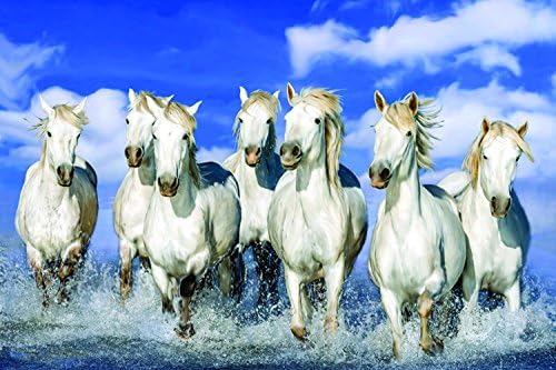 ELL DECOR 7 Horse Canvas Painting Without Frame