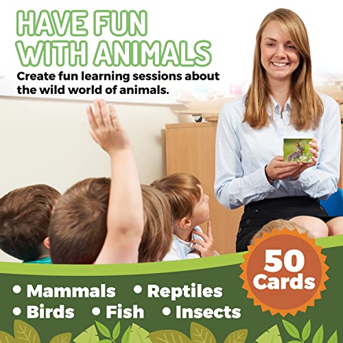 Animal Flash Cards - 50 Educational Flashcards For Children And Adults - Fun Vocabulary Builder Flash Cards For Speech Therapy, Esl, Occupational Therapy, And More #TOP3