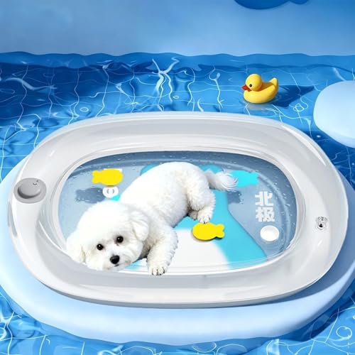 Tapis d'eau chat gonflable imperméable épaissi - Tapis couchage rafraîchissant chiot