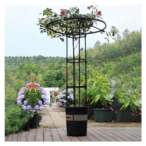 Treillis obélisque de jardin pour plantes grimpantes, 210 cm, support vertical antirouille pour jardinage intérieur et extérieur, idéal pour vignes et fleurs