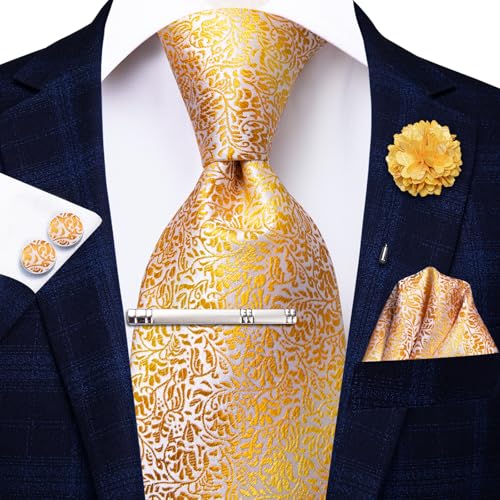 Image of Hi-Tie Mens Paisley Floral Striped Ties Set Silk Necktie and Lapel Pin for Men Pocket Square Cufflinks Set Business Wedding