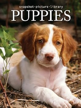 Hardcover Snapshot Picture Library Puppies by Sonia Vallabh (2007-01-01) Book