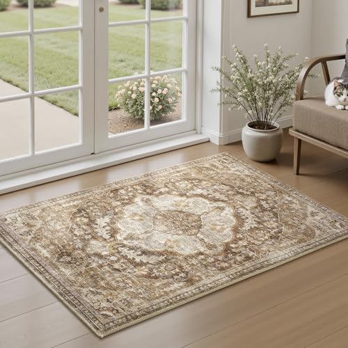 tchdio 2x3 Entryway Rug - Non-Slip & Washable Brown