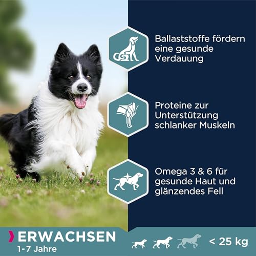 Eukanuba Hundefutter mit Lamm & Reis für kleine und mittelgroße Rassen - Trockenfutter für ausgewachsene Hunde, 12 kg
