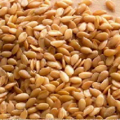 Bulk Seeds 100% Organic Flax Seed Golden - Single Bulk Item - 25LB