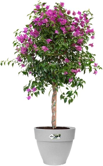 elho Vibia Campana Round 47 - Plant Pot for Outdoor - 100% Recycled Plastic - Ø 47.0 x H 40.4 cm - Grey/Living Concrete