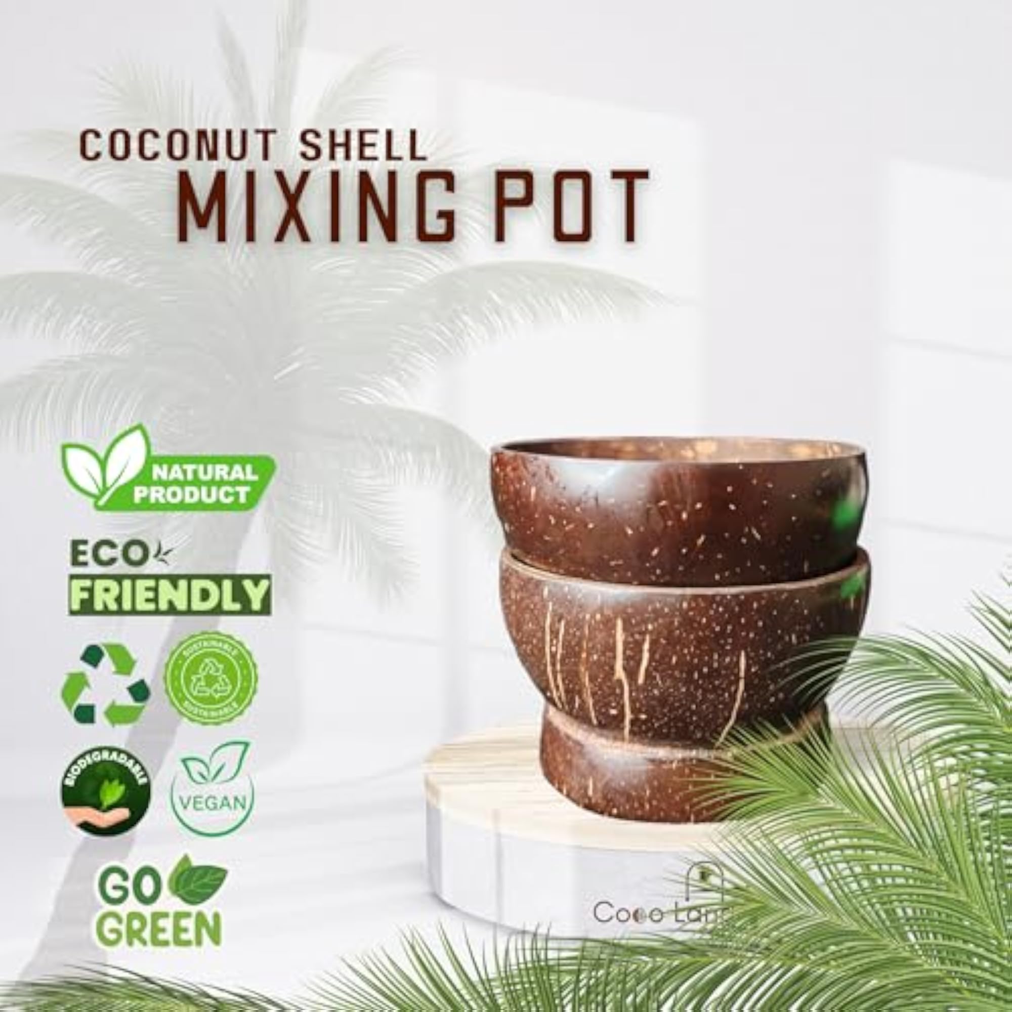 Coconut Shell Soup Bowl Set for Serving
