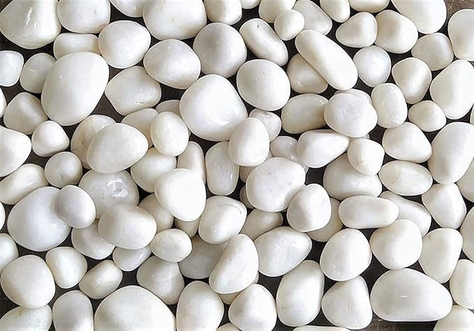 Polished Marble Stone Pebbles for Plant Pots Vase Fillers Aquarium Home Decor Garden Decoration (500 Grams, White Polish Medium) (B0CRZ7RQX6) Amazon Price History, Amazon Price Tracker