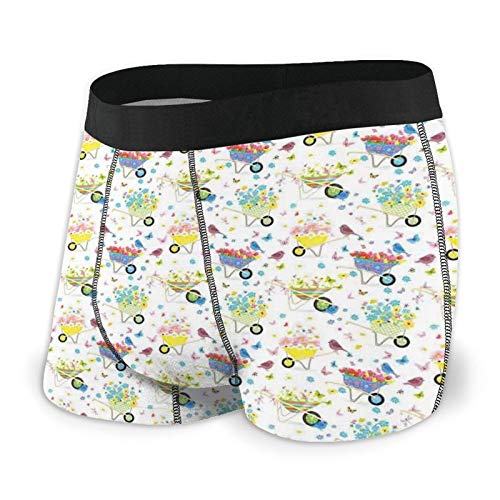 Men's Boxer Briefs Underwear,Rainbow Striped and Checkered Pattern Wheelbarrows Full of Wild Flowers and Birds XL
