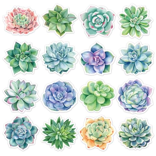 Imanes decorativos de plantas suculentas 16 pzas