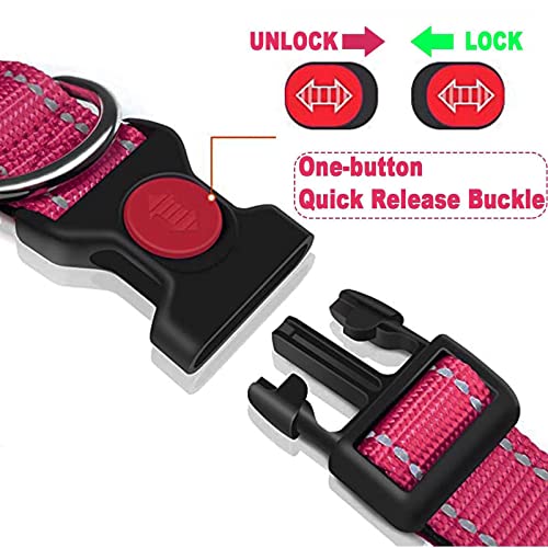 ATETEO Dog Collar, Reflective Adjustable Basic Dog Collar with Soft Neoprene Padding, Durable Nylon Pet Collars for Puppy Large Dogs - Image 4