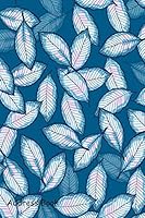 Address Book: For Contacts, Addresses, Phone Numbers, Email, Note, Alphabetical Index with Colorful Summer Leaves Hand Drawing Style 1795626437 Book Cover