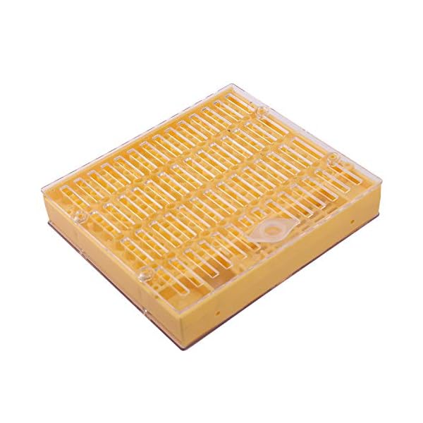 Cuasting Bienenzucht Bau Satz 120 Zell Cup Bienen Werkzeug Set K？nigin Aufzucht System Biene Nicot Komplette F？nger K？fig Imkerei Helfer – Bild 6