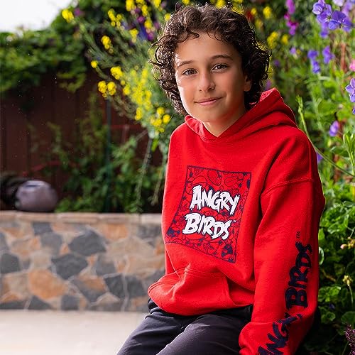 Angry Birds Official Comic Fill Box Youth Printed Hooded Fleece Pullover Sweatshirt for Boys, Girls, Unisex Red Size Small3