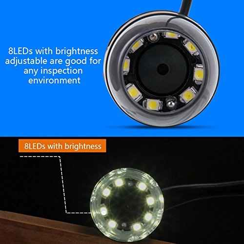 Image of USB Digital Microscope, 1000X Zoom, 8 LEDs, with Stand for Industrial Testing, Laboratory Research