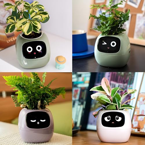 Vaso per piante intelligente con sensori e display LCD, vaso da fiori autoirrigante con controllo app, visualizzazione del tempo e del tempo, per decorazione casa e ufficio