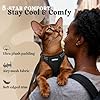 rabbitgoo Cat Harness and Leash, Escape Proof Vest with 3 Adjustable Buckles, Soft Comfortable Kitten Harness, Easy to Wear, Reflective for Safe Outdoor Walking, Small, Black #5
