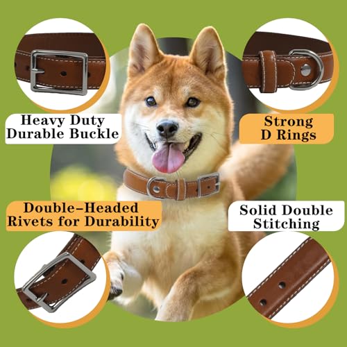 Hundehalsband aus echtem Leder, strapazierfähiges Hundehalsband mit stabiler Metallschnalle, dickes Halsband für Spaziergänge, Wandern, Training, Jagd (M