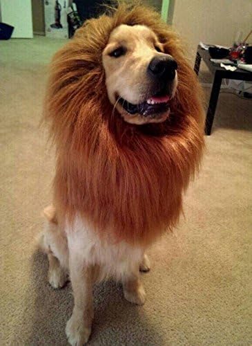 Narrrowser Cosplay Lion Mane for Dog, Pet Costume Hair Clothes Festival Soft Fur Hairpiece Party Fancy Lion Periwig Toupee Dress up Hair Neck Size (from 60cm to 80cm) for Halloween