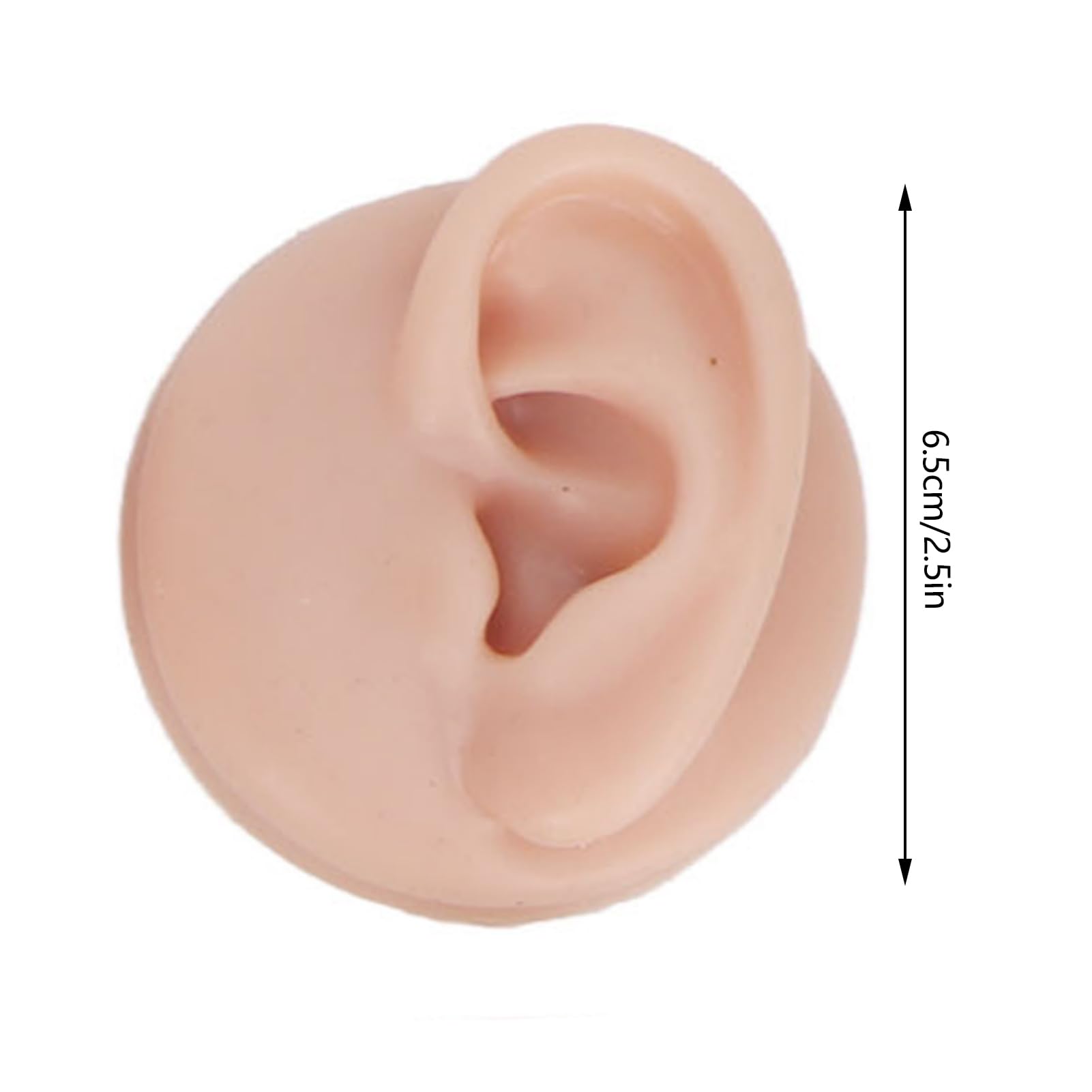 Silikon-Piercing Übungsmodell Set – Augenbrauen Nase Lippen Zunge Bauchnabel & Ohren – Ideal für Bananen Piercing Zungenpiercing Septum Piercing Helix Piercings & Vertical Labret Piercing
