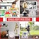Taeku Baseball Vitrine – Acryl Würfel mit UV-Schutz, Staubdichte Display Box für Softball, Baseball, Tennisball & Sportbälle, mit Standfuß für Sammlerstücke (1 Set)