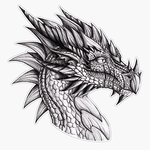 HOF Trading Veteran Dragon Vinyl Sticker Waterproof Decal Laptop Wall Window Bumper Sticker 5