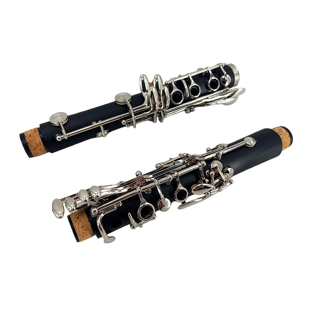 Clarinete para principiantes, clarinete profesional de ebonita con 2 barriles, kit de limpieza de estuche rígido, guantes de grasa de corcho y boquilla (llave BB)